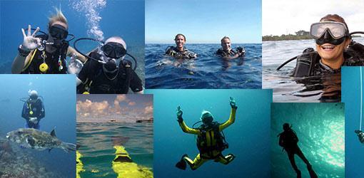 Thailand Liveaboard diving popular intro