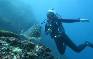 discover scuba diving intro