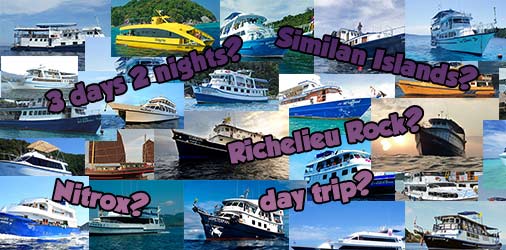 why-choose-Similan-diving-tours-intro