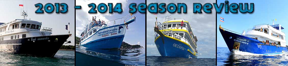 banner-for-2013-14-review-diving-season
