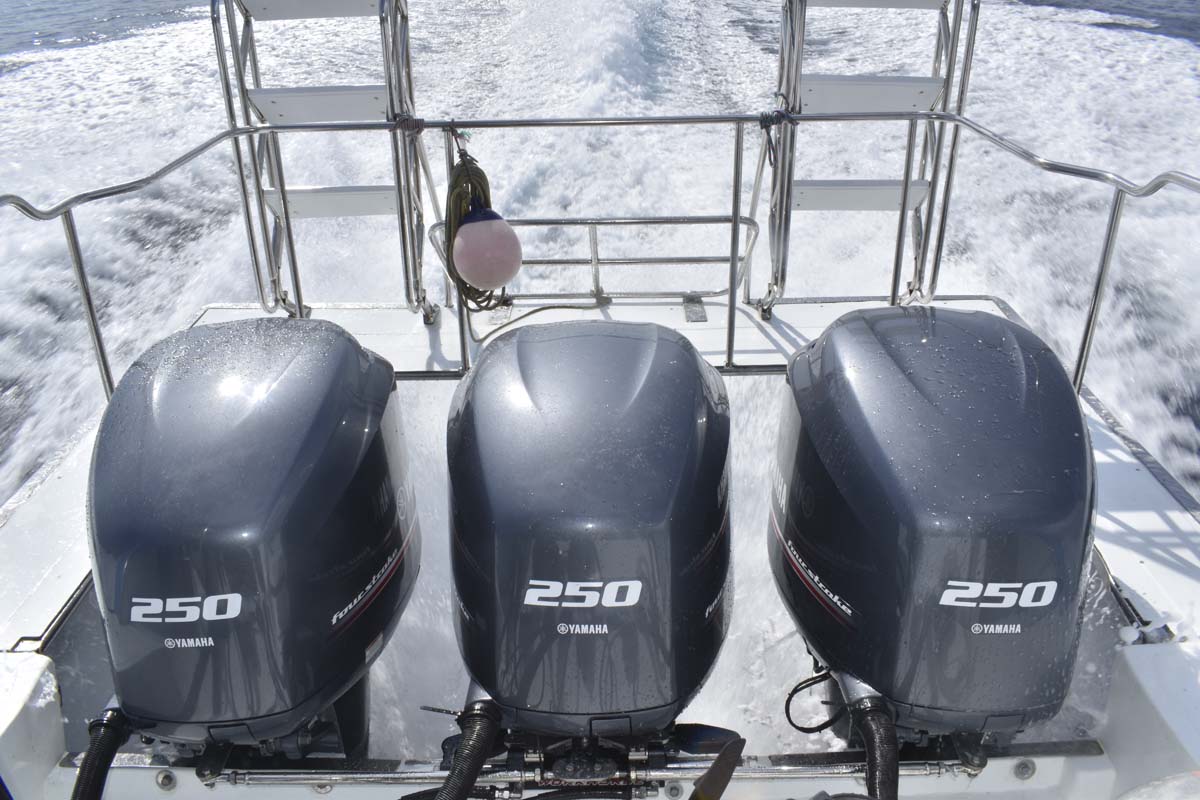 Blue Marlin dive platform and outboard motors