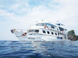 Lapat similan liveaboard dive boat discount