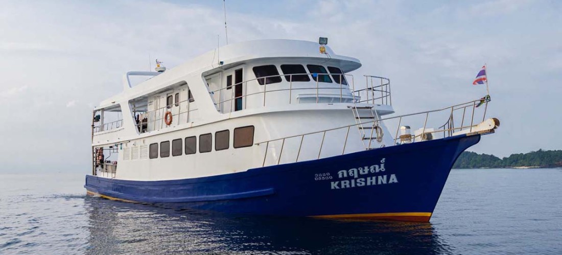 Krishna Similan Richelieu Rock Hin Daeng Koh Haa diving liveaboard