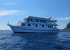 Seatopia liveaboard boat