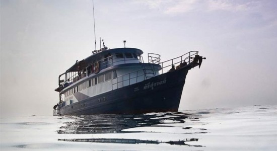 Scuba adventure liveaboard diving