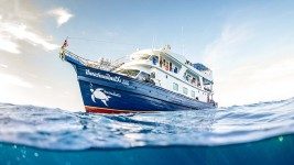 Peter Pan Liveaboard dive boat